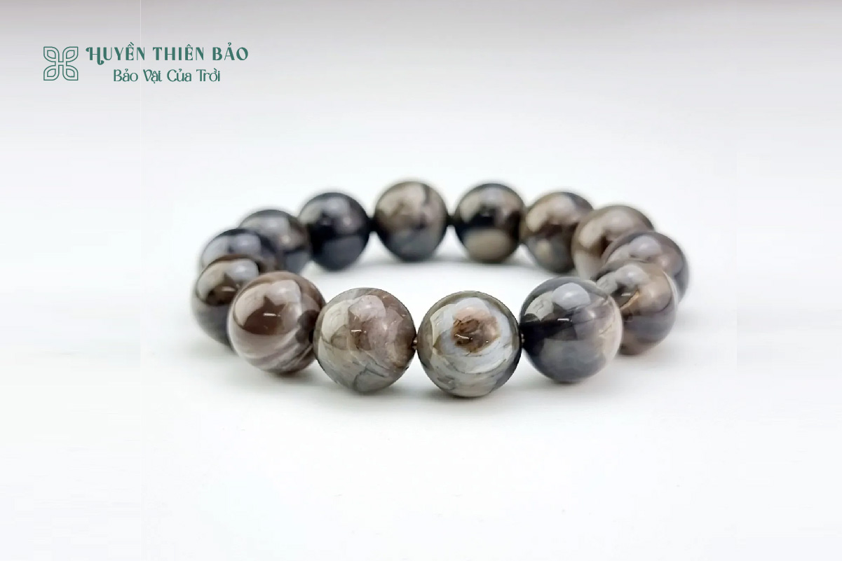 Đôi nét về vòng gỗ hóa thạch