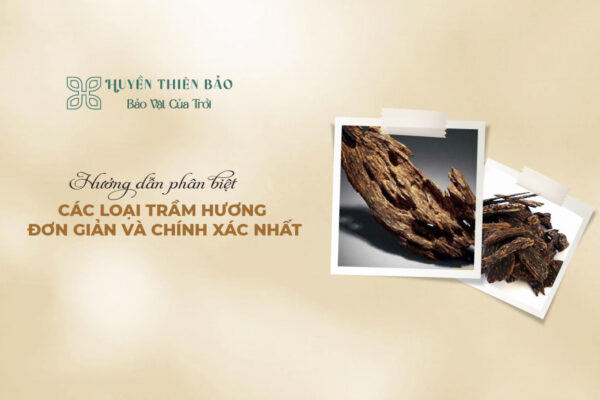 Hướng dẫn phân biệt các loại trầm hương