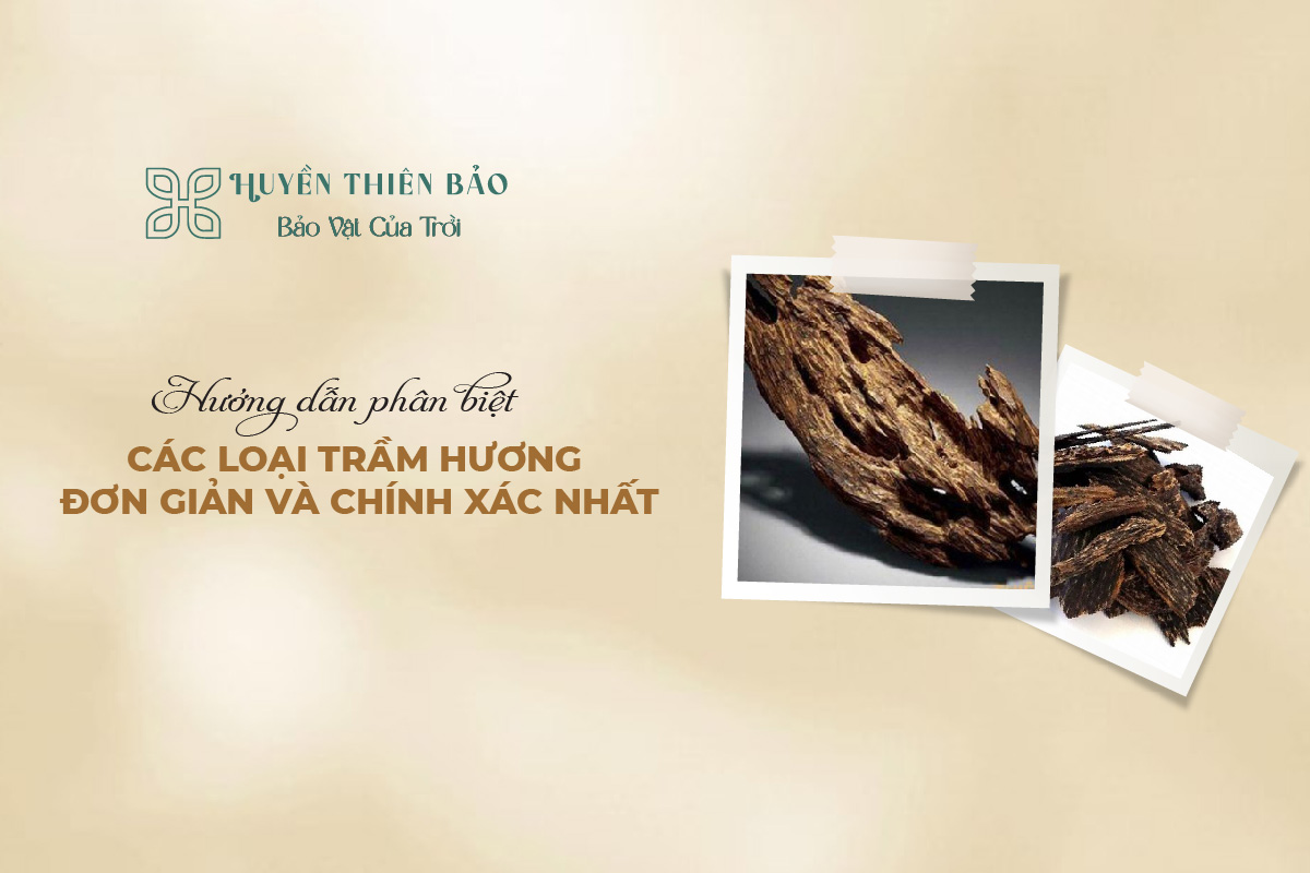 HUYỀN THIÊN BẢO | Hướng dẫn phân biệt các loại trầm hương đơn giản và chính xác nhất HUYỀN THIÊN BẢO | Hướng dẫn phân biệt các loại trầm hương đơn giản và chính xác nhất