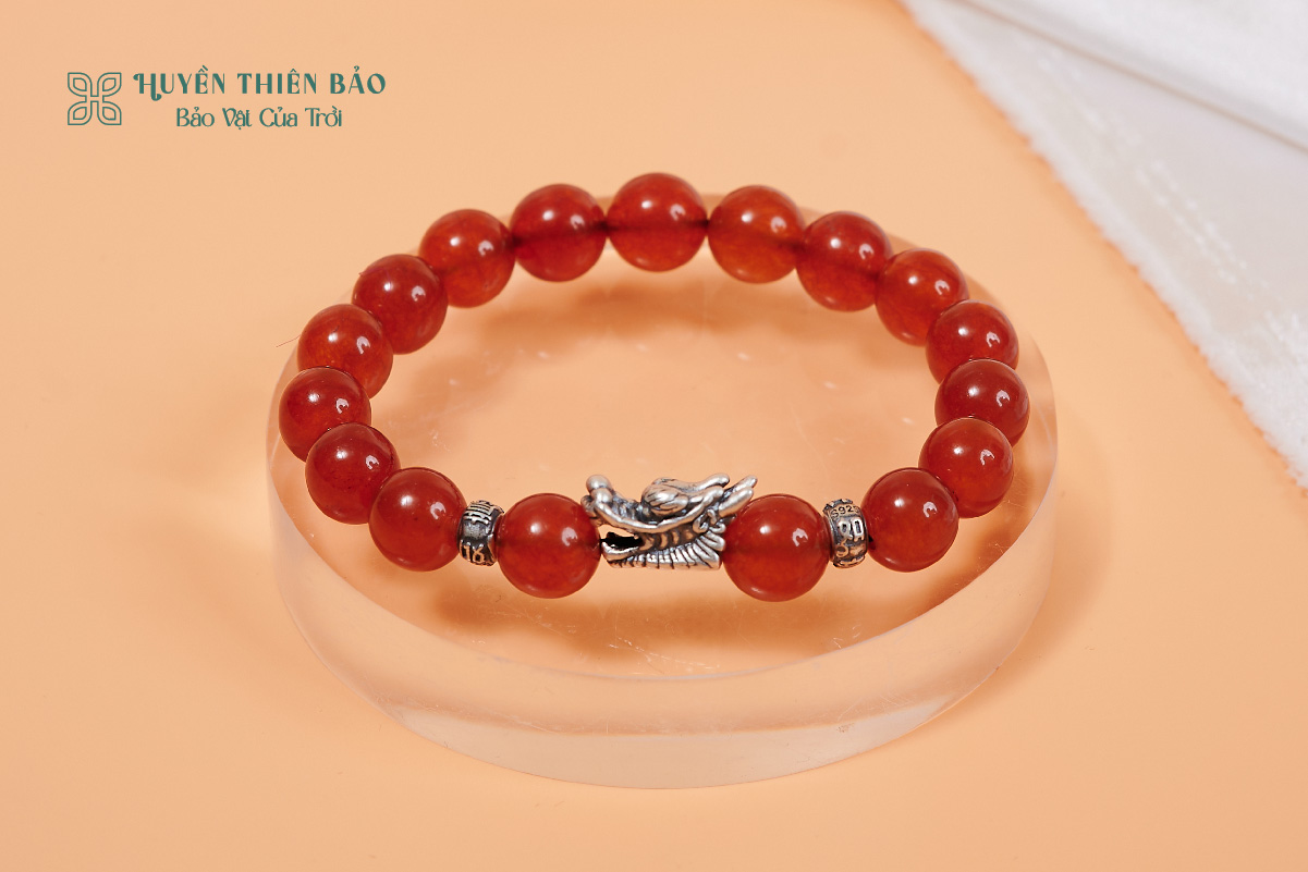 Tổng quan về vòng mã não