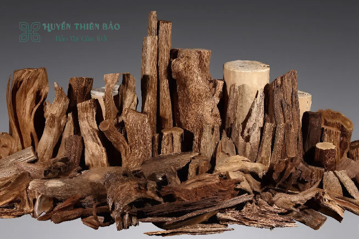 HUYỀN THIÊN BẢO | Hướng dẫn phân biệt các loại trầm hương đơn giản và chính xác nhất HUYỀN THIÊN BẢO | Hướng dẫn phân biệt các loại trầm hương đơn giản và chính xác nhất
