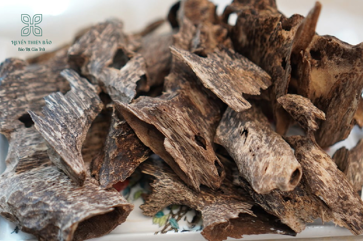 Trầm hương là gì