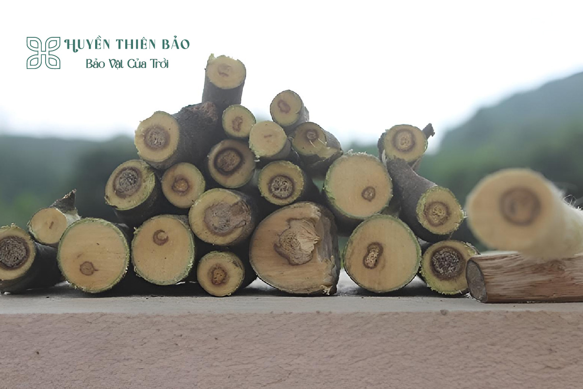 HUYỀN THIÊN BẢO | Hướng dẫn phân biệt các loại trầm hương đơn giản và chính xác nhất HUYỀN THIÊN BẢO | Hướng dẫn phân biệt các loại trầm hương đơn giản và chính xác nhất
