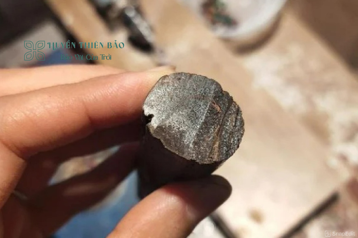 HUYỀN THIÊN BẢO | Hướng dẫn phân biệt các loại trầm hương đơn giản và chính xác nhất HUYỀN THIÊN BẢO | Hướng dẫn phân biệt các loại trầm hương đơn giản và chính xác nhất