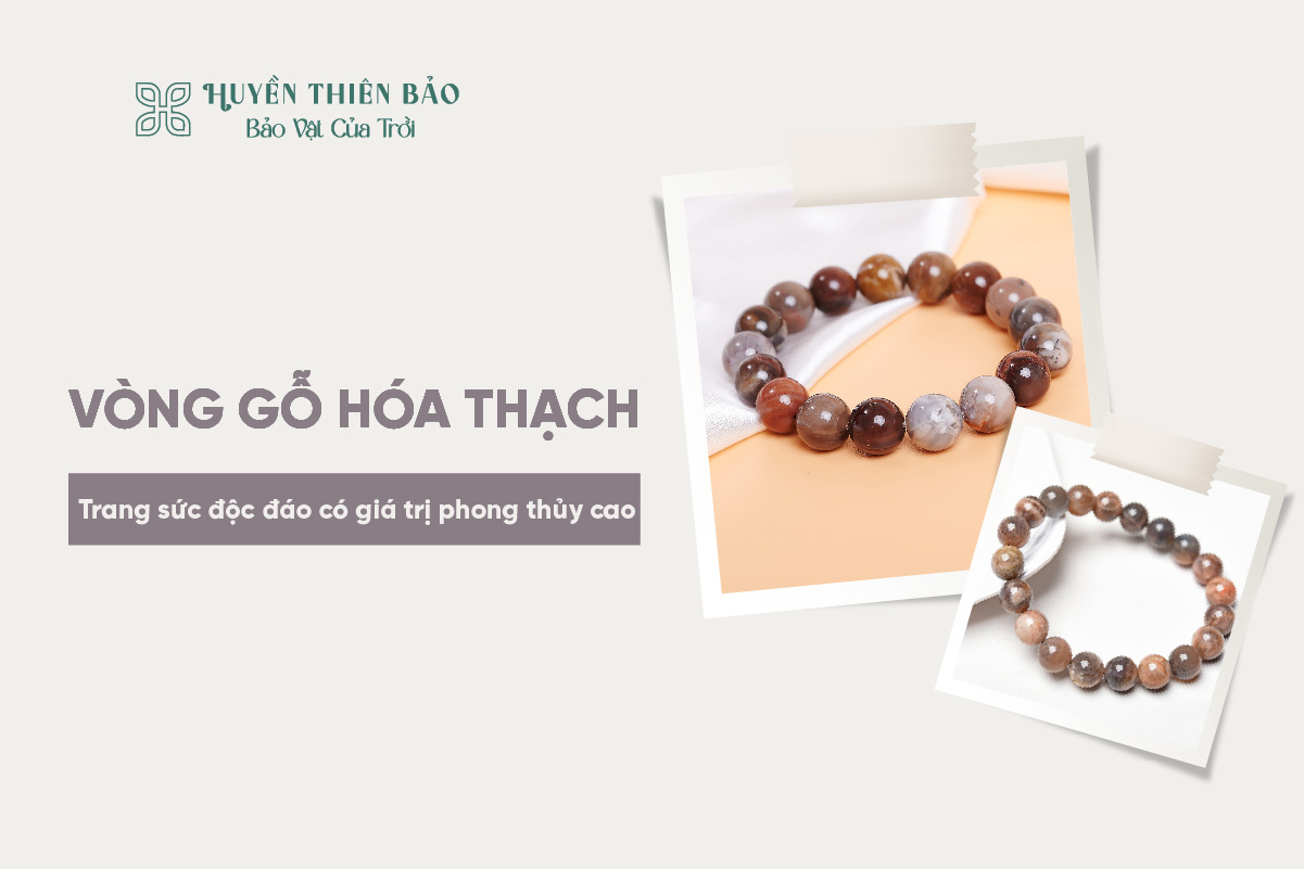 Vòng gỗ hoá thạch