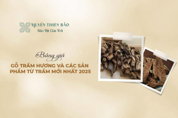 Bảng giá gỗ trầm hương và các sản phẩm từ trầm mới nhất 2025