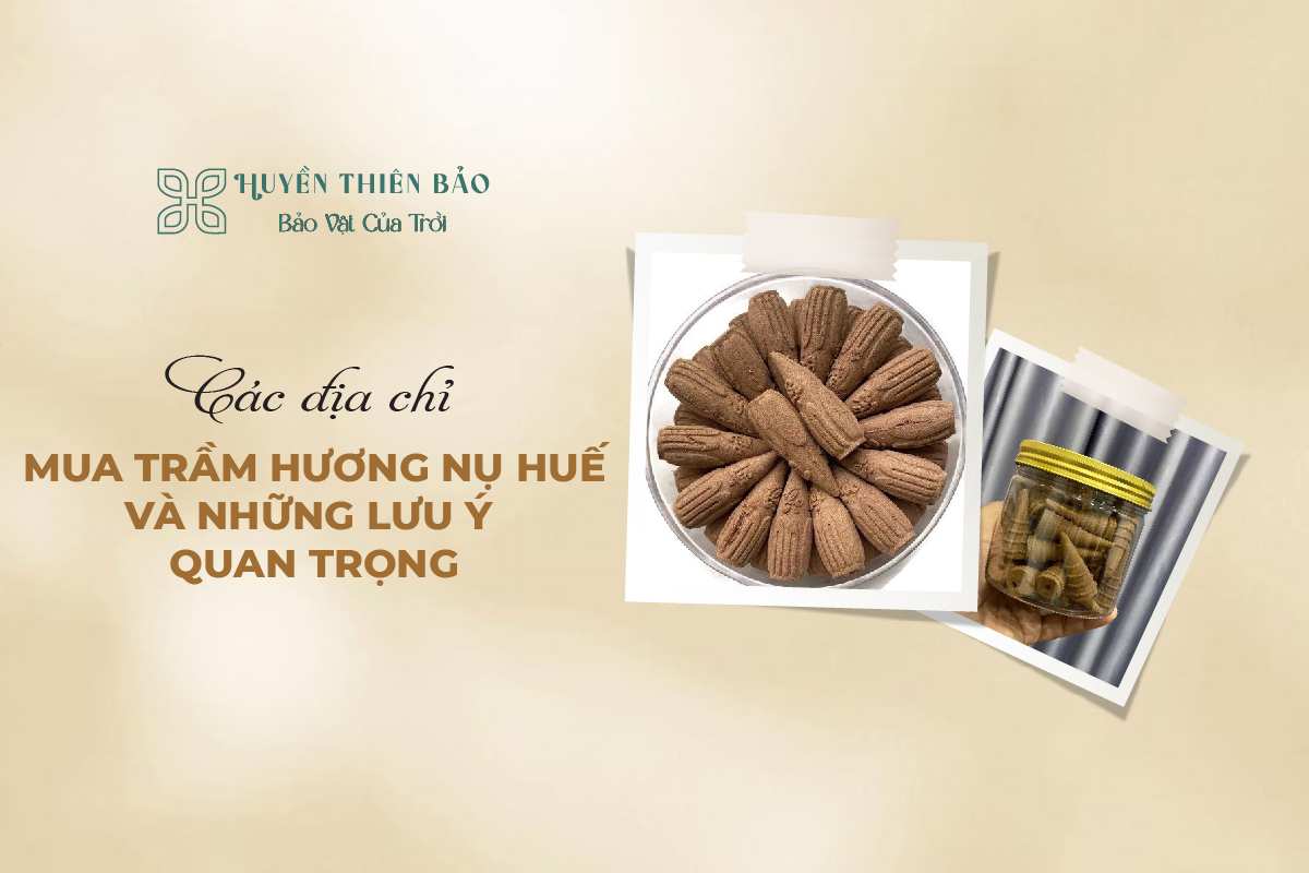 HUYỀN THIÊN BẢO | Các Địa Chỉ Mua Trầm Hương Nụ Huế Uy Tín Và Lưu Ý Quan Trọng HUYỀN THIÊN BẢO | Các Địa Chỉ Mua Trầm Hương Nụ Huế Uy Tín Và Lưu Ý Quan Trọng