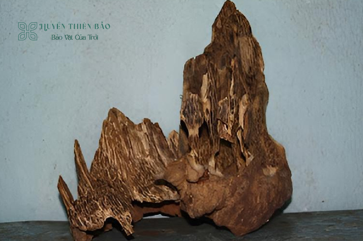 HUYỀN THIÊN BẢO | Trầm hương Quảng Nam và những điều cần biết HUYỀN THIÊN BẢO | Trầm hương Quảng Nam và những điều cần biết