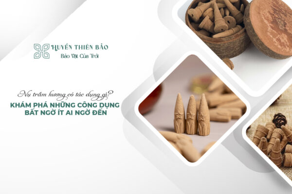 Nụ trầm hương có tác dụng gì? Khám phá những công dụng bất ngờ ít ai ngờ đến