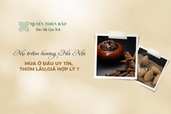Nụ Trầm Hương Hà Nội - Mua Ở Đâu Uy Tín, Thơm Lâu, Giá Hợp Lý?