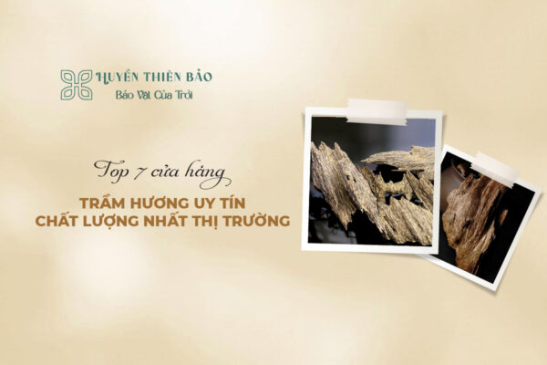 Top 7 Shop Trầm Hương Uy Tín, Chất Lượng Nhất Thị Trường
