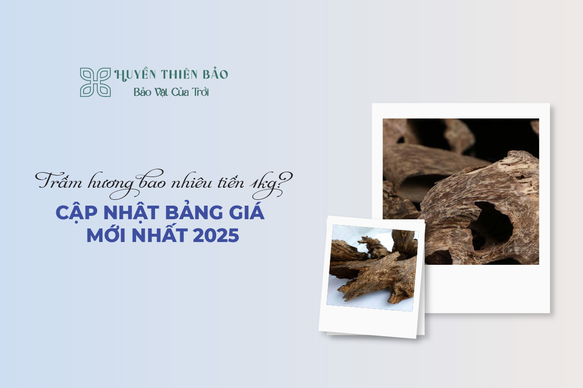 HUYỀN THIÊN BẢO | Trầm hương bao nhiêu tiền 1kg? Cập nhật bảng giá mới nhất 2025 HUYỀN THIÊN BẢO | Trầm hương bao nhiêu tiền 1kg? Cập nhật bảng giá mới nhất 2025