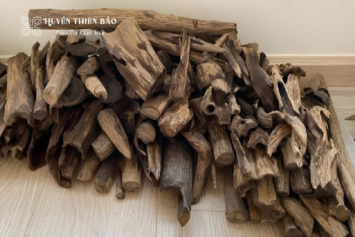 HUYỀN THIÊN BẢO | Trầm hương bao nhiêu tiền 1kg? Cập nhật bảng giá mới nhất 2025 HUYỀN THIÊN BẢO | Trầm hương bao nhiêu tiền 1kg? Cập nhật bảng giá mới nhất 2025
