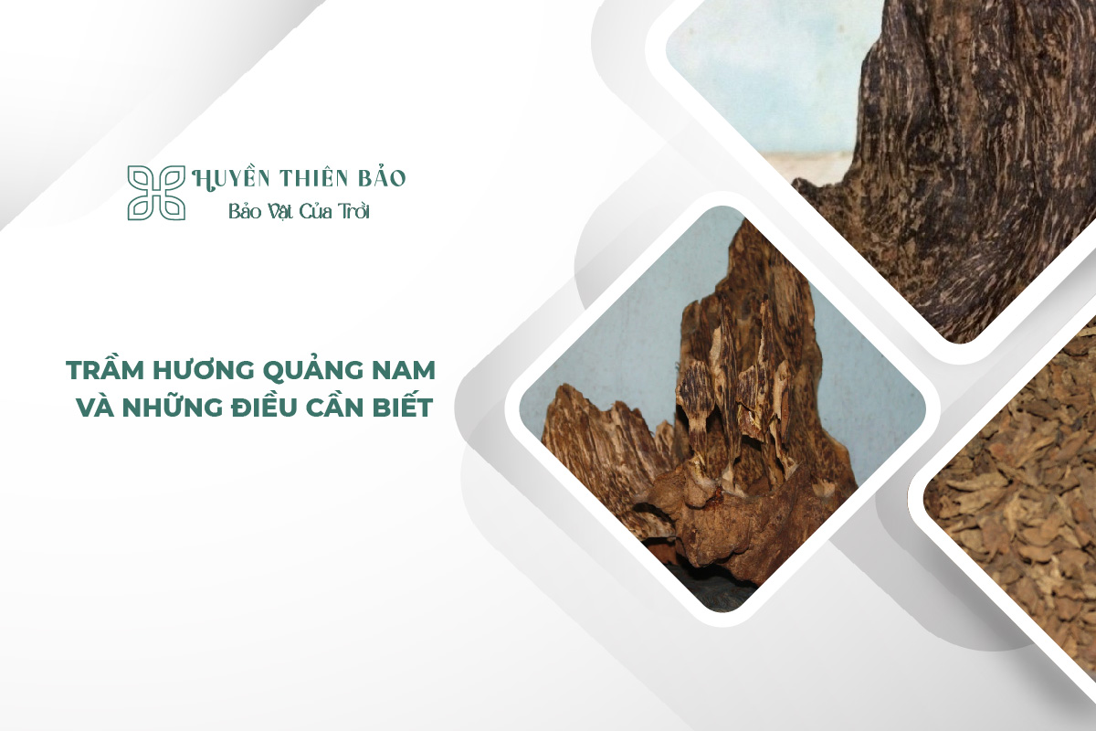 HUYỀN THIÊN BẢO | Trầm hương Quảng Nam và những điều cần biết HUYỀN THIÊN BẢO | Trầm hương Quảng Nam và những điều cần biết