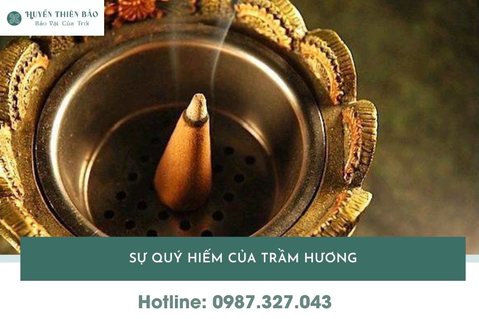 HUYỀN THIÊN BẢO | Tại sao trầm hương lại đắt? Chuyên gia bật mí các yếu tố quyết định giá HUYỀN THIÊN BẢO | Tại sao trầm hương lại đắt? Chuyên gia bật mí các yếu tố quyết định giá
