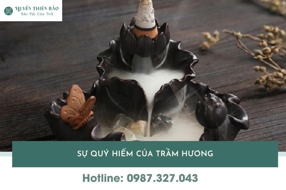HUYỀN THIÊN BẢO | Tại sao trầm hương lại đắt? Chuyên gia bật mí các yếu tố quyết định giá HUYỀN THIÊN BẢO | Tại sao trầm hương lại đắt? Chuyên gia bật mí các yếu tố quyết định giá