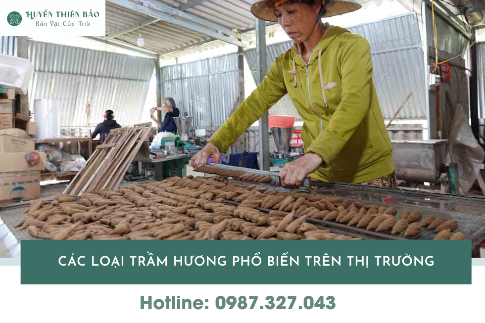 HUYỀN THIÊN BẢO | Trầm hương có mấy loại? Cách nhận biết từng loại chi tiết HUYỀN THIÊN BẢO | Trầm hương có mấy loại? Cách nhận biết từng loại chi tiết