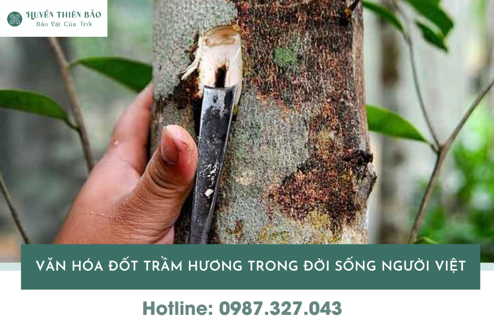 HUYỀN THIÊN BẢO | Trầm hương mảnh, vụn trầm: Có nên đốt không? HUYỀN THIÊN BẢO | Trầm hương mảnh, vụn trầm: Có nên đốt không?