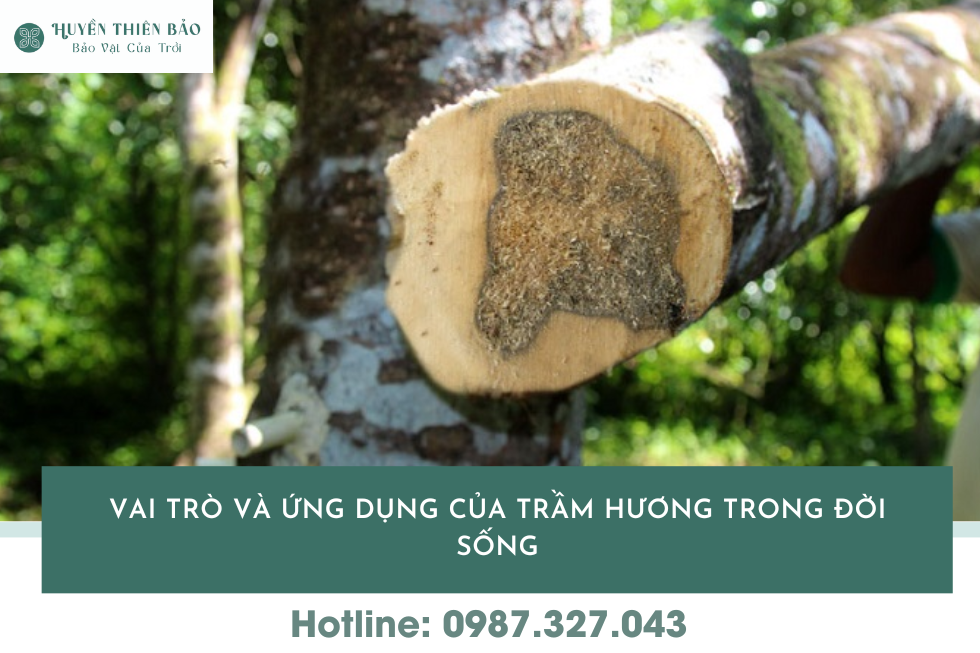 HUYỀN THIÊN BẢO | Phân biệt trầm hương tự nhiên và trầm hương nhân tạo: Cách nhận biết chính xác 100% HUYỀN THIÊN BẢO | Phân biệt trầm hương tự nhiên và trầm hương nhân tạo: Cách nhận biết chính xác 100%